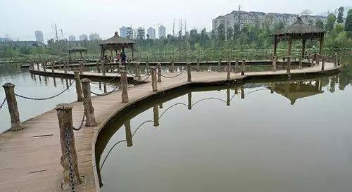 重庆最大的湿地公园·观音塘湿地公园