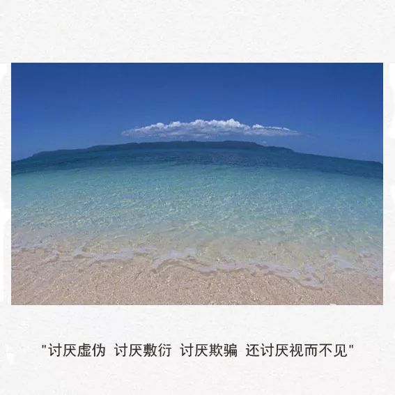 讨厌虚伪 讨厌敷衍 讨厌欺骗 还讨厌视而不见