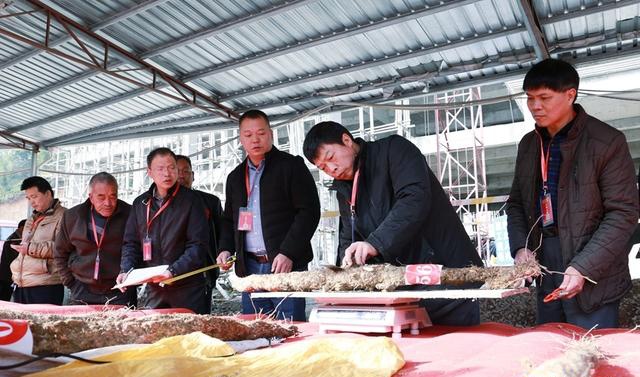 现场"淮山王"评选吸引众人关注.新华网 王雄 摄