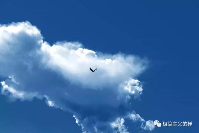 三毛:如果有来生