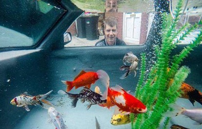 汽车除了能开还能养鱼？男子花10个月将废弃车辆改成鱼缸
