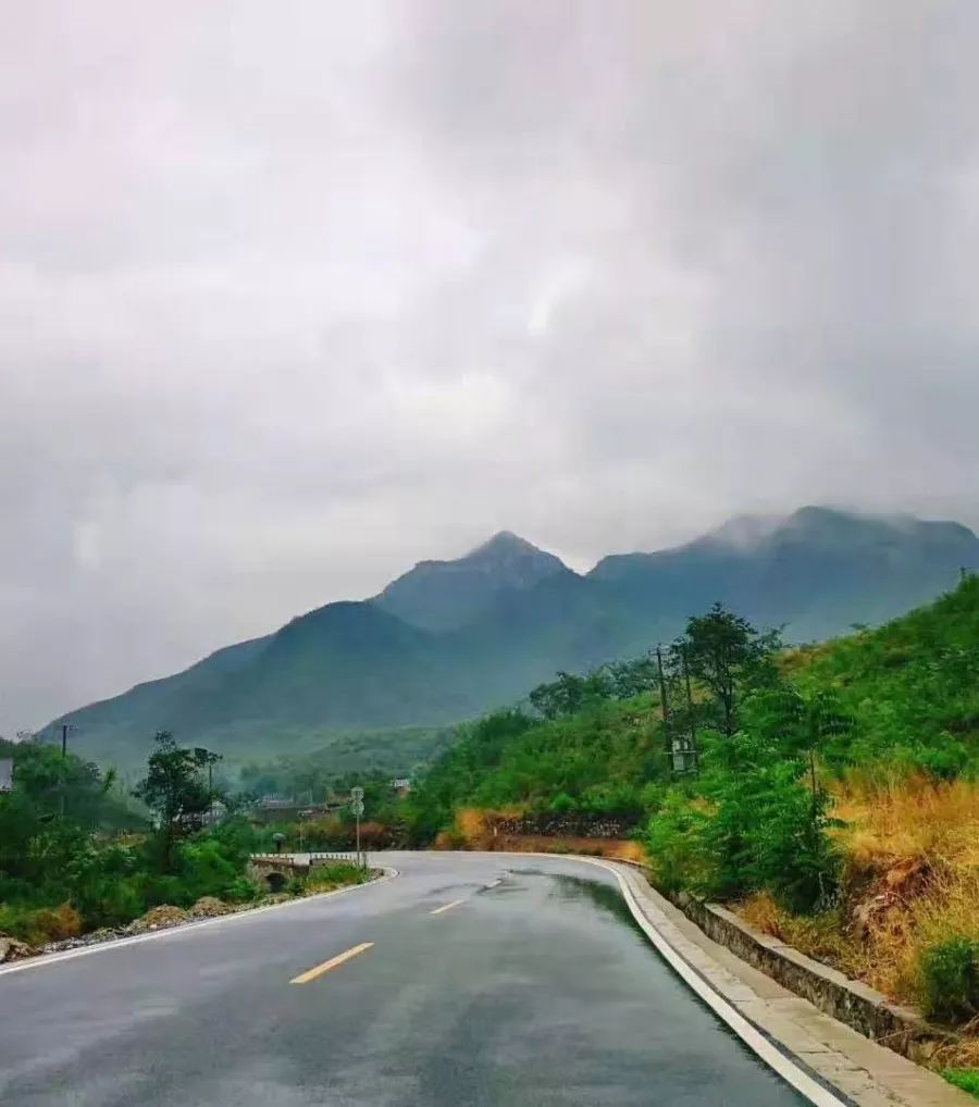 途经狼牙山万亩花海,西山北乡政府,龙门湖风景区 便进入龙西旅游公路