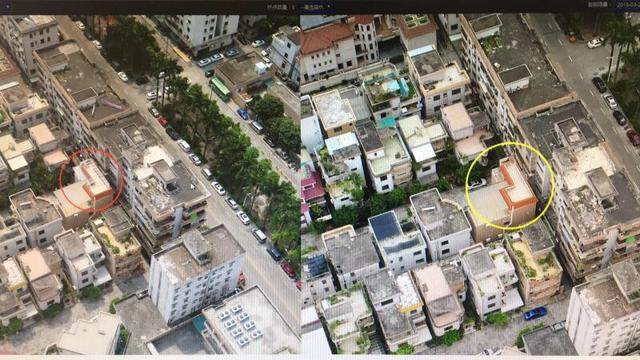 南沙区大岗镇：党建引领创新基层治理，“最强大脑”构筑“智汇城镇”