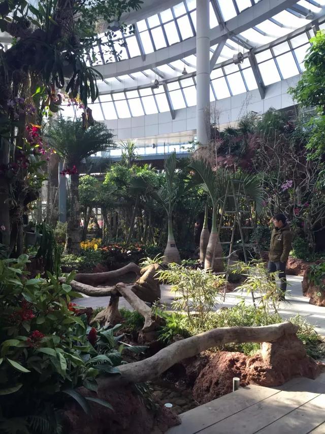 中秋将至 | 是时候把竹博园的行程定下来了