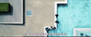 「电影通缉令」日影年度爆款，太太太特别了