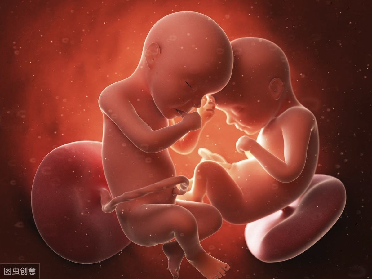 想生双胞胎,借助试管技术走捷径,移植两个胚胎就一定能成功吗?