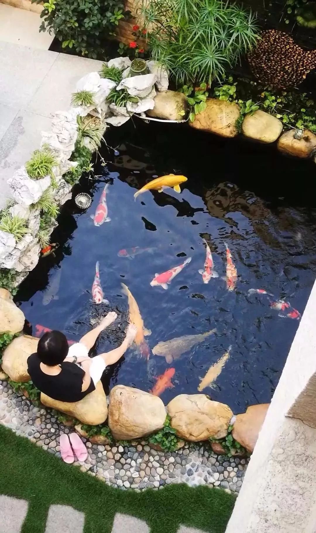 30款花园鱼池合集,总有一款你喜欢