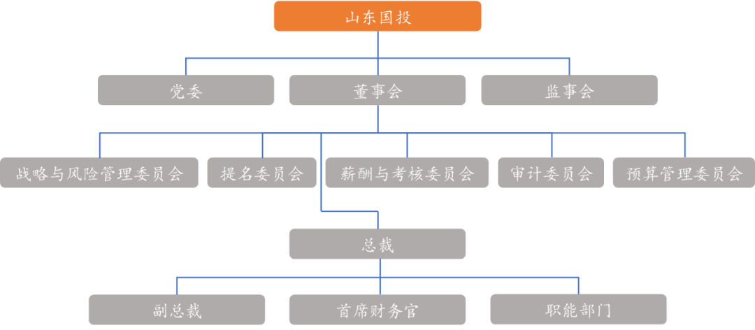 山东国投公司法人治理结构