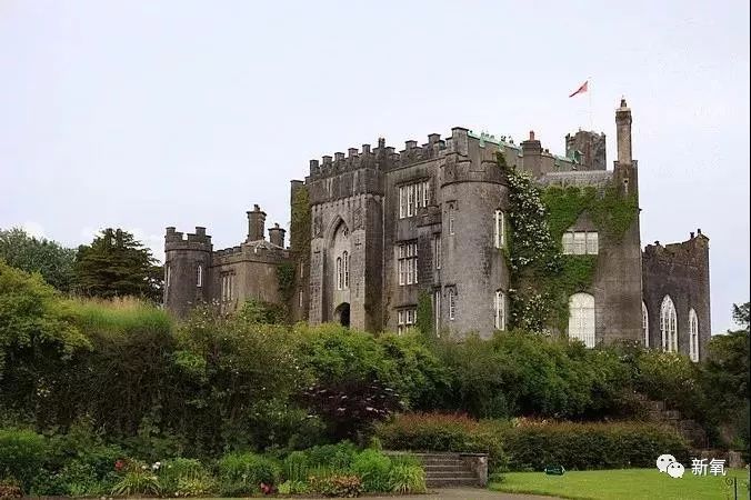 「新氧App」中国第一位伯爵夫人竟是现实版的紫菱？玛丽苏女主本体！