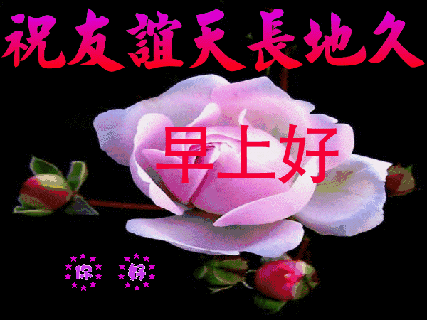 朋友圈最新版清晨早上好问候语美图，12月6日清早早上好问候暖心句子送给你（早上好的说说朋友圈简短）