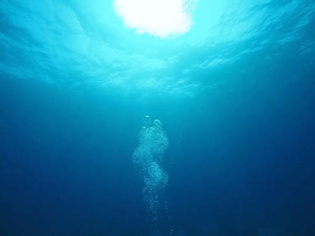 红海的海底潜水丢了相机大海捞针却被幸运女神眷顾