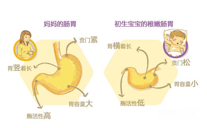 新生儿吐奶病情不一,这种情况或许是病理性,妈妈应引起重视