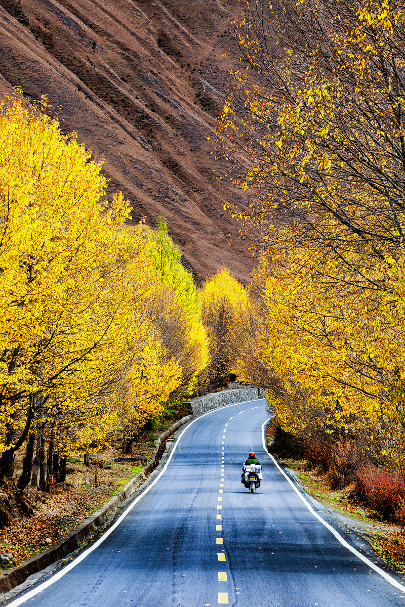 路上的风景川西游拍