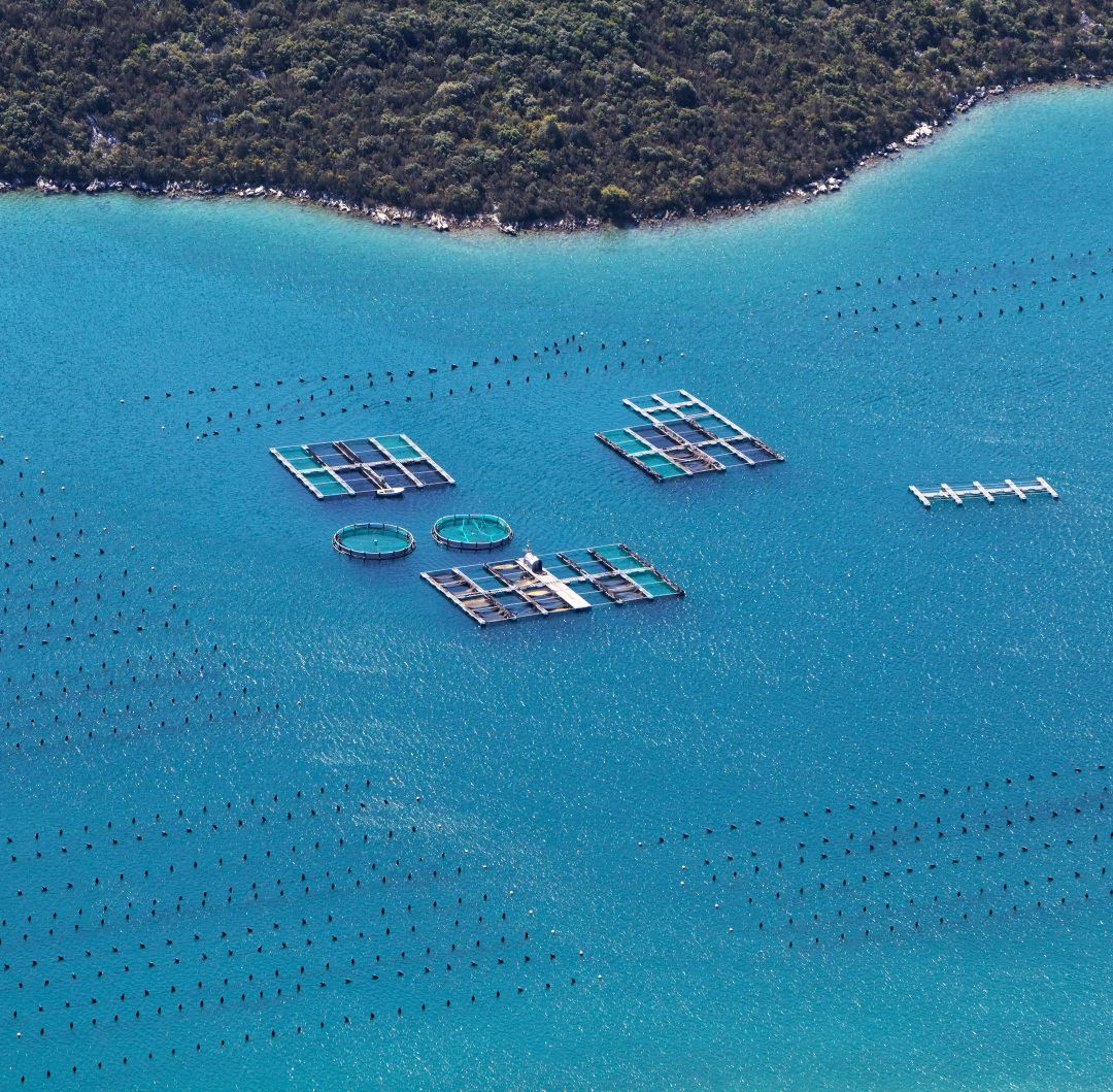 沿海人民是如何喂饱中国的？| 地球知识局