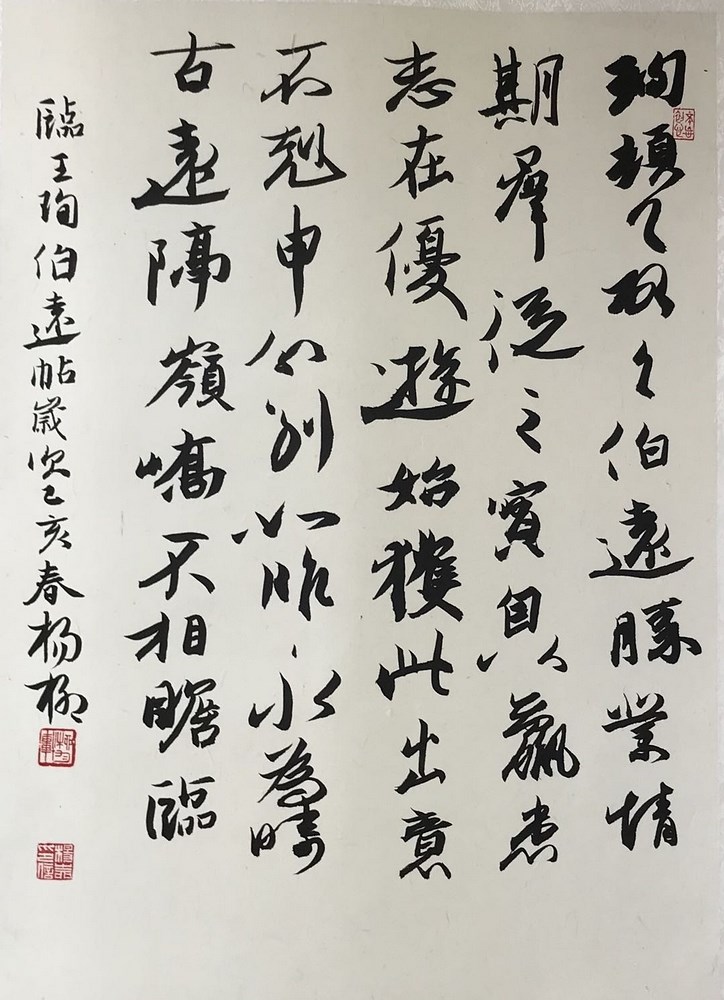 甘肃省硬笔书法家协会常务理事,天水分会主席杨柳艺术