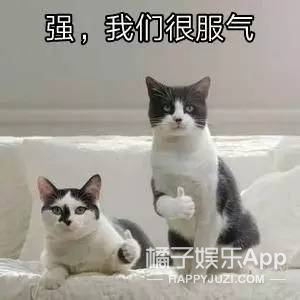 她真的是把该说的不该说的都说了…