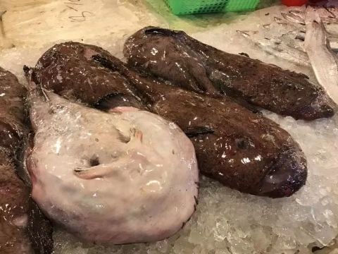 浙江哪里的海鲜最好吃？