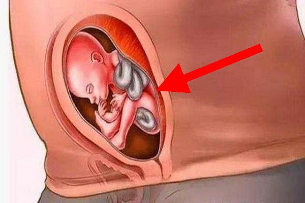 几张图告诉你,从怀孕到分娩女性子宫会发生什么变化?好心疼女人