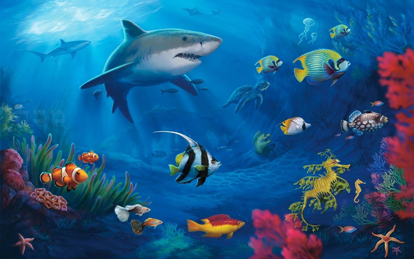 全球最美五大海洋馆,探索精彩的海底世界,其中有你去过的吗?
