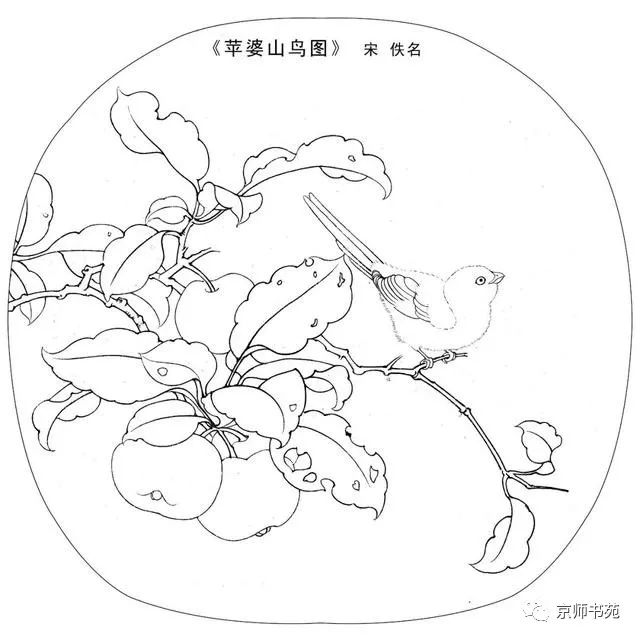 宋画工笔白描资料,实用的花鸟国画素材