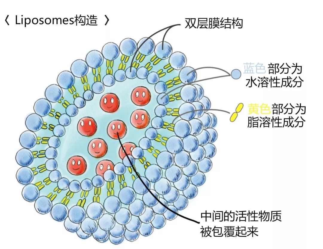 懂小姐｜不靠酒精不去角质，护肤品吸收的关键竟然是这个……