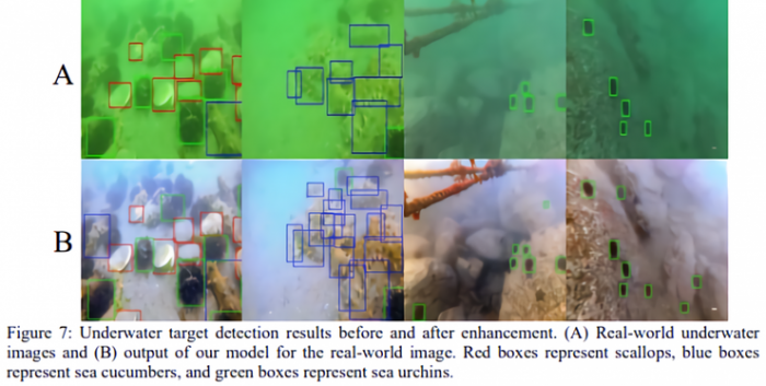 研究人员分享如何利用AI技术解决水下图片模糊和着色问题