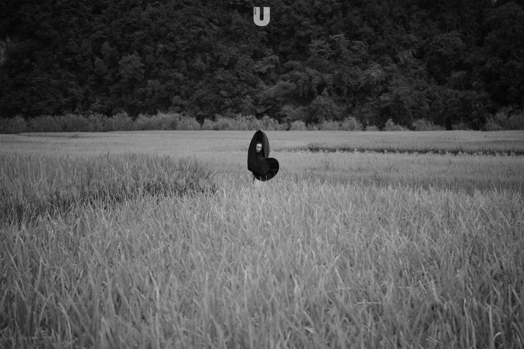 「桃桃淘电影」又是很美的惠老师呀 | 赏色