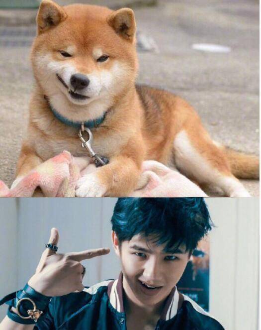 超有梗的明星:有钱哥哥肖战,不愧是我王一博,爱鞋如命白敬亭!