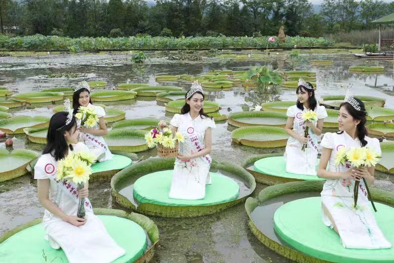 全球城市形象大使走进眉山宽花溪深度体验莲花文化