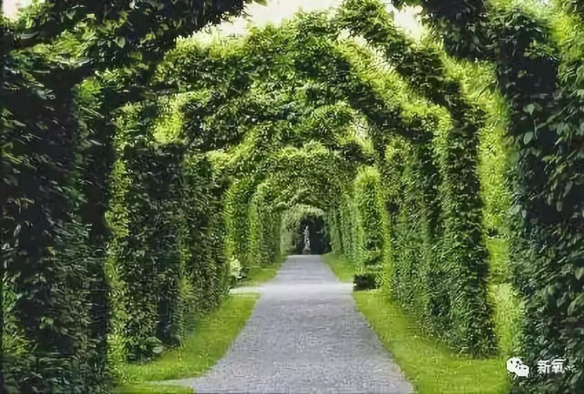 「新氧App」中国第一位伯爵夫人竟是现实版的紫菱？玛丽苏女主本体！