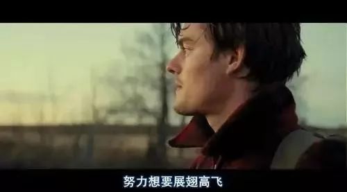 一切荒唐里都藏着趋势
