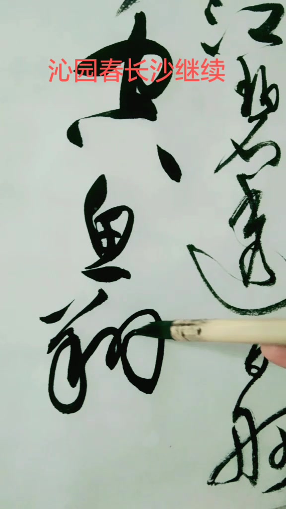 学习草书的视频