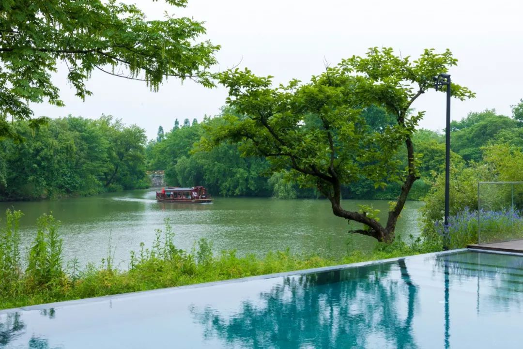 马云爸爸点赞的杭州餐厅高冷系酒店拿奥斯卡7000㎡原生湿地西溪top1
