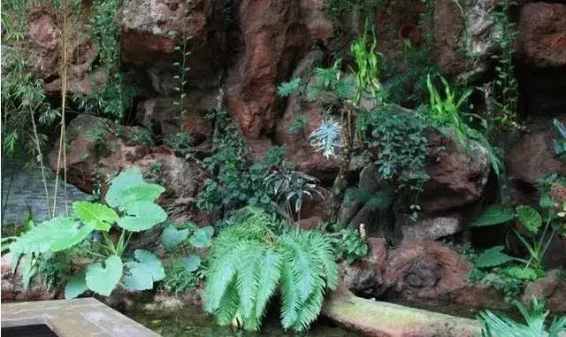 中秋将至 | 是时候把竹博园的行程定下来了