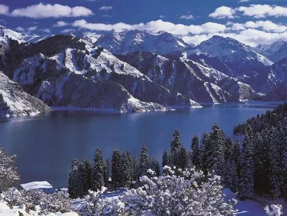 如果可以，一定要去新疆走一走，体会它的千种风情，万种风光（最新发布）