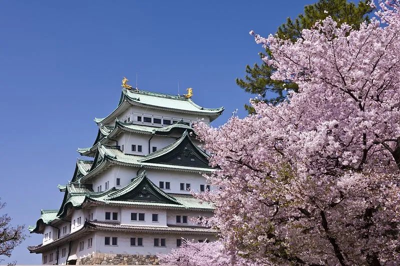 名古屋城 名古屋城除了是日本三大名城之一,也是名古屋最著名的景点