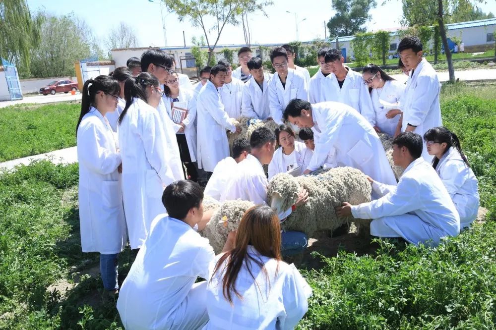 畜牧兽医实训