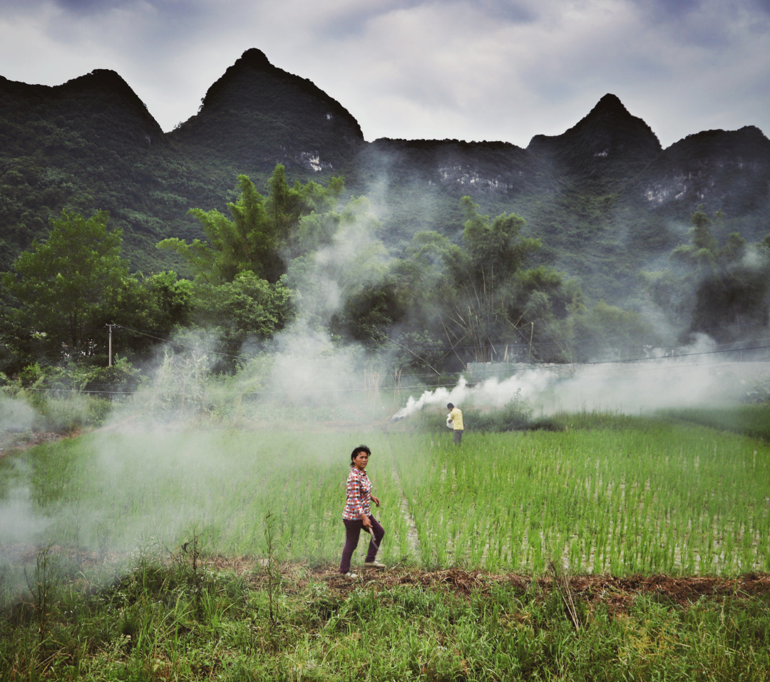 农村烧秸秆为何屡禁不止？ |　地球知识局