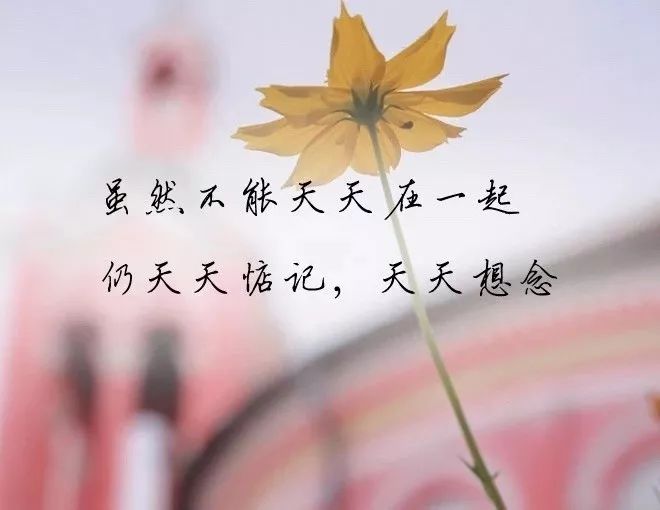 2020微信个性签名,句句经典霸气