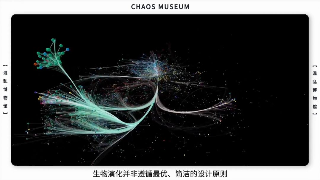 病毒是如何欺骗你的| 混乱博物馆