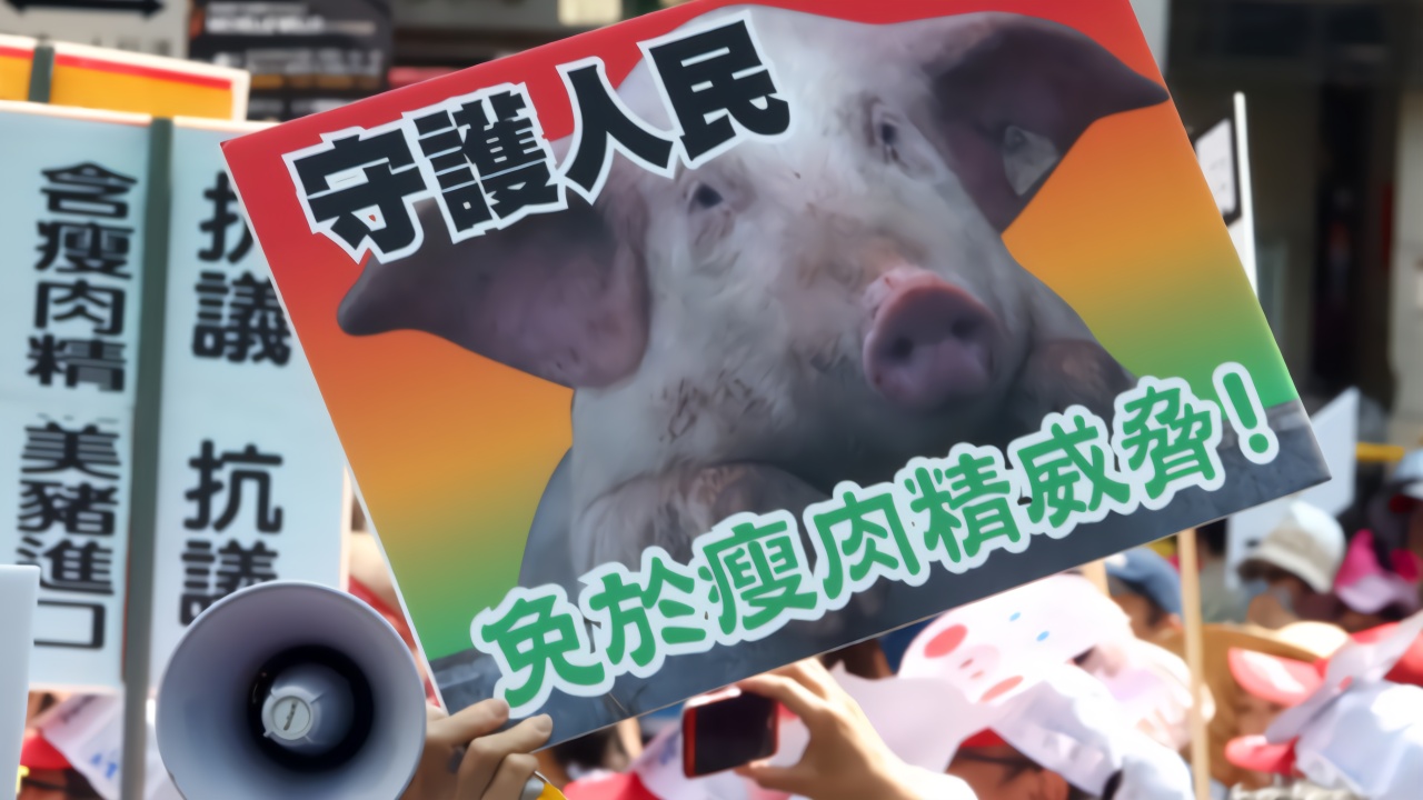 民进党当局强行进口含瘦肉精的美猪,台媒:凸显出台湾政治乱象