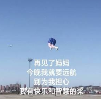 恶搞香菜徒手推楼海里熨衣有人能管管这帮野老外吗