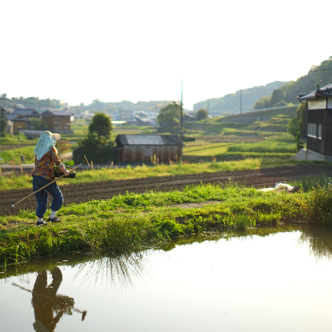 日本，搞过土改么 | 地球知识局