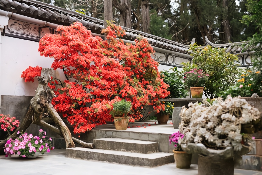 中国最美尼姑庵，看完都想去出家