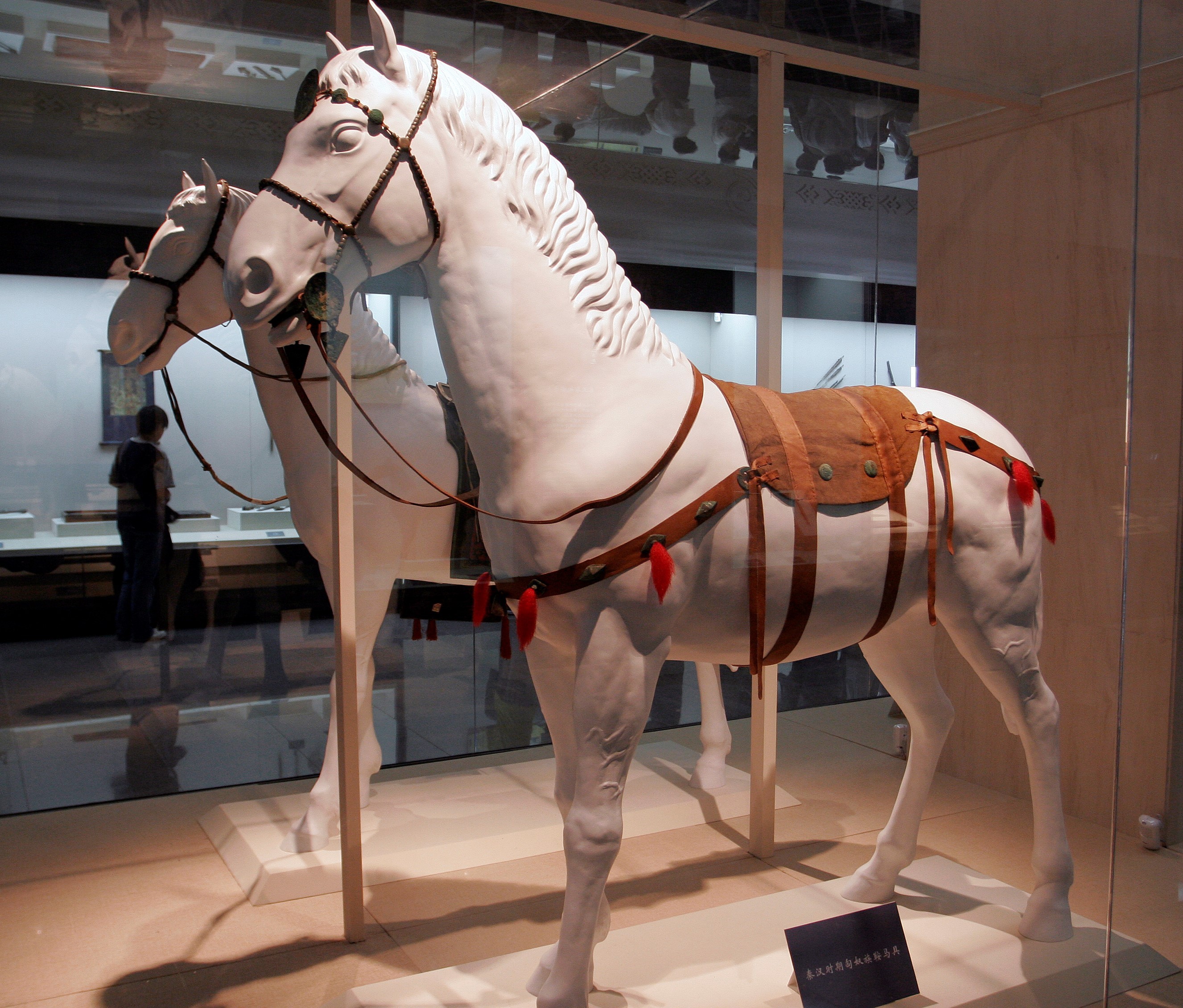 鲜卑人，从哪里来？ |　地球知识局