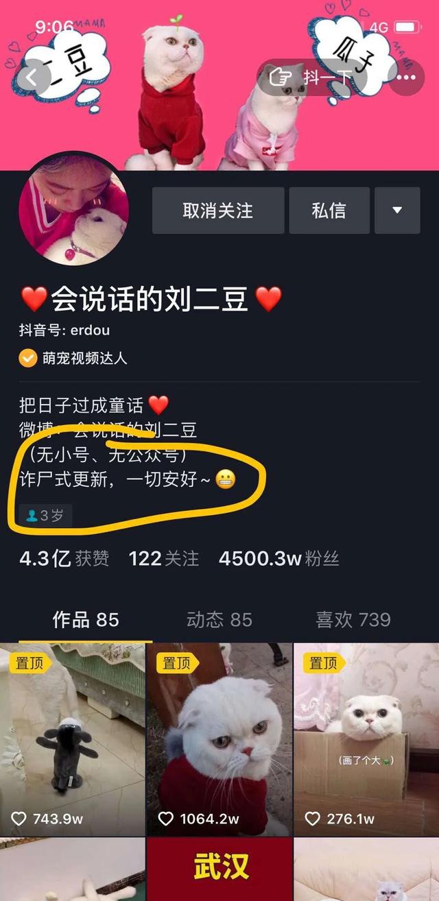 诈尸式更新,抖音最大萌宠达人"会说话的刘二豆"肥来了