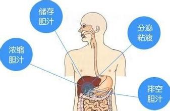 胆囊结石治疗方案怎么选吃药还是手术