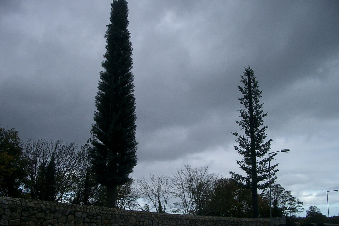 世界人民为什么都爱烧基站｜大象公会