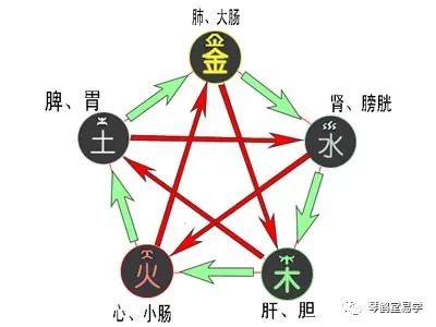 教你补救及五行缺木人的性格