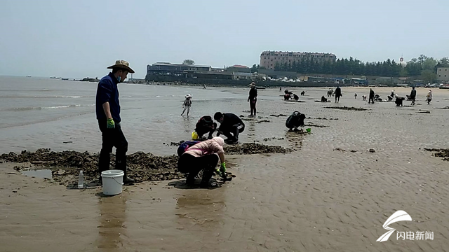 沙子口海域水面透亮,是赶海的好地方,家住附近的段小姐,就不时前往